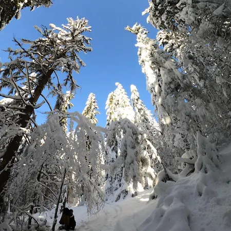 Apartment The Legits *