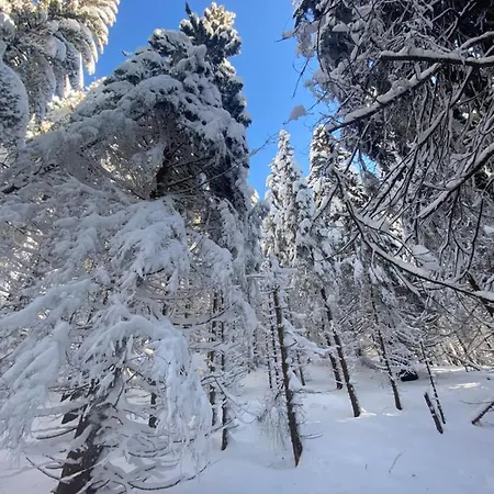 The Legits Apartment